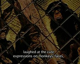 注意！狼来了！封面图