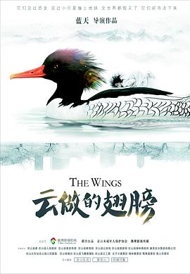 云做的翅膀封面图