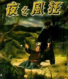 狂风之夜封面图