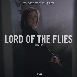 X档案 9.5 蝇封面图