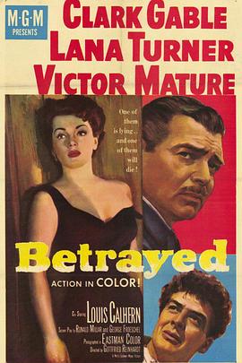 谍网风云封面图