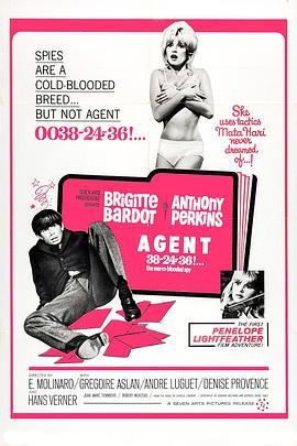 一个可爱的白痴封面图