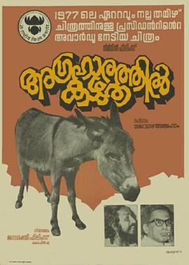 婆罗门村的驴封面图