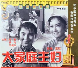 大家庭主妇封面图