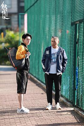 触网情深封面图