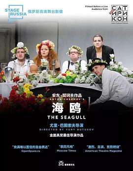 海鸥封面图