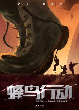 蜂鸟行动封面图
