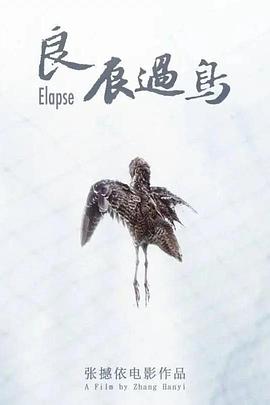 良辰过鸟封面图