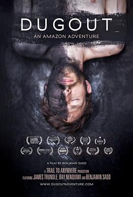 伐木成舟封面图