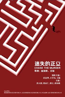 迷失的正义封面图