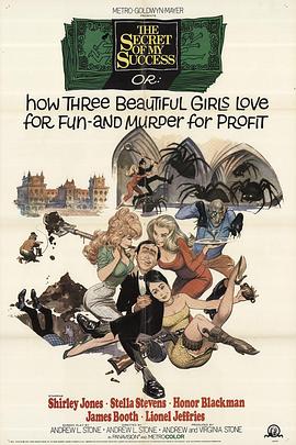 我的成功秘密封面图