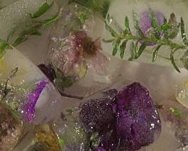 废土二号：耐寒的，热烈的封面图