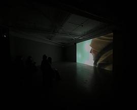 即兴捕手封面图