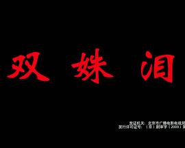 双姝血案封面图