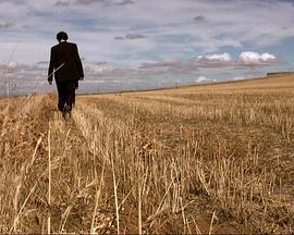 苍蝇的灵魂封面图