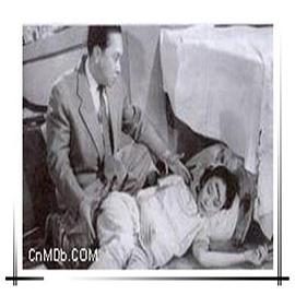 纽约唐人街碎尸案封面图