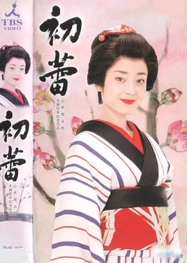 初蕾封面图