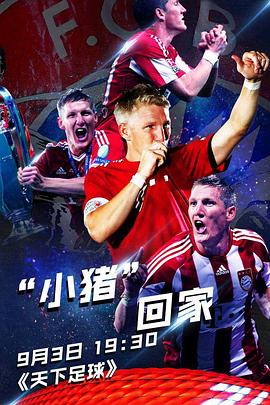 施魏因施泰格：“小猪”回家封面图