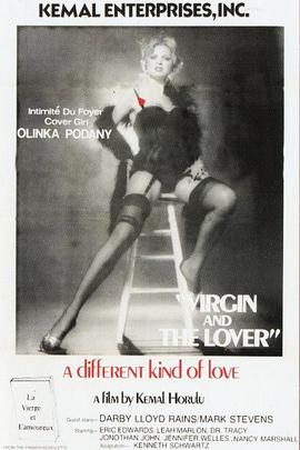 处女与情人封面图