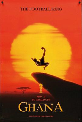 2014世界杯小组赛加纳VS美国封面图