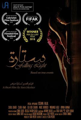 殒落之光封面图