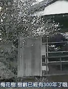 Japan walker春日祭典sp-KinKi Kids10周年箱根之旅封面图