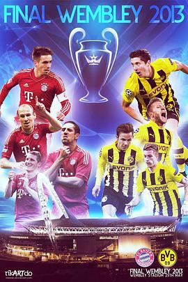 12/13赛季欧洲冠军杯决赛封面图