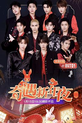 奇遇新年夜封面图