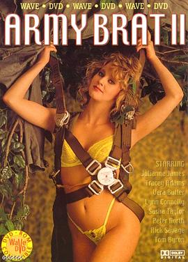 军中情事2封面图