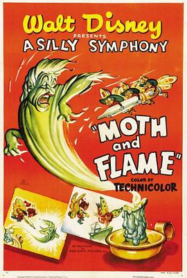 飞蛾扑火封面图