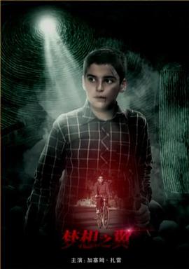 梦想之翼封面图