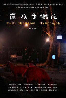 夜放千树花封面图