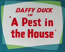 A Pest in the House封面图