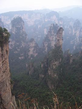 墨脱之路封面图