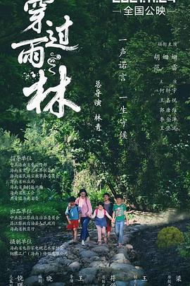 穿过雨林封面图