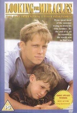 难忘的夏季封面图