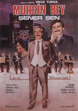 穆辛先生封面图