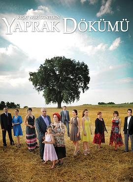 落叶 第一季封面图