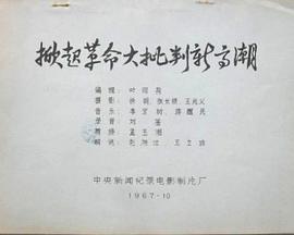 掀起革命大批判新高潮封面图