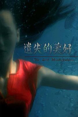遗失的美好封面图