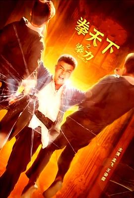 拳天下之拳力封面图