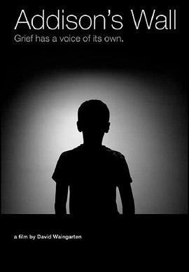 艾迪生的墙封面图