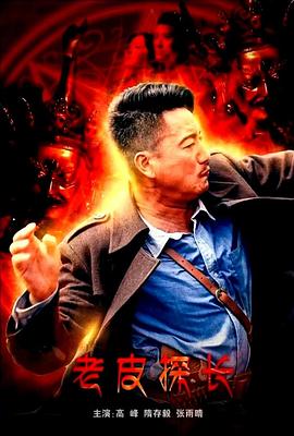 老皮探长封面图