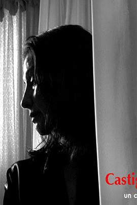 神圣的惩罚封面图