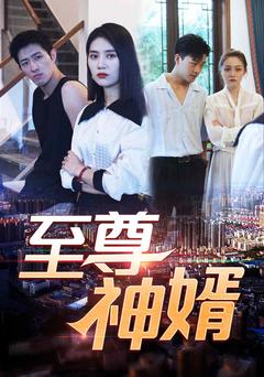 至尊神婿封面图