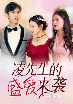 凌先生的盛爱来袭封面图