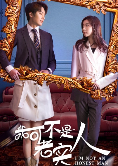 我可不是老实人封面图