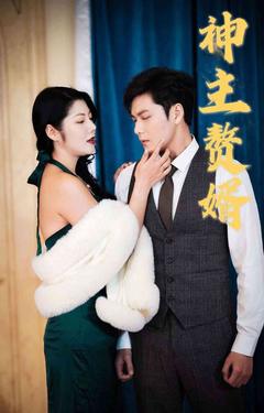 神主赘婿封面图
