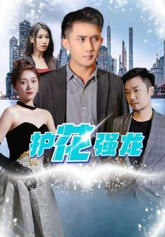 护花强龙封面图