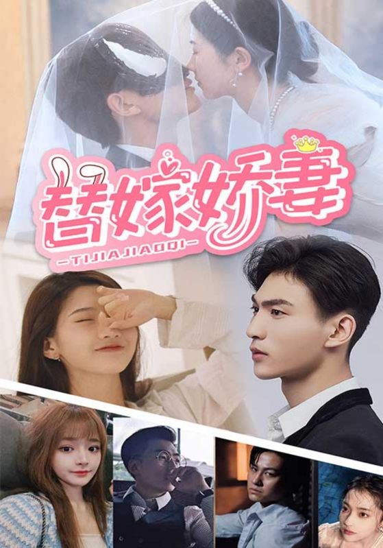 替嫁娇妻封面图